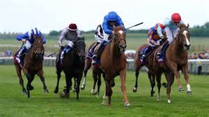 Newmarket Live Results Latest Updates From 1 50 As Favourite Del Maro Is Beaten In Huge Shock