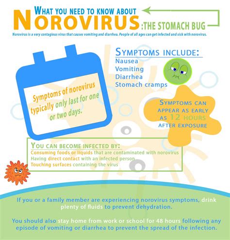 Norovirus Continues To Be Seen Throughout Germany Article The United States Army
