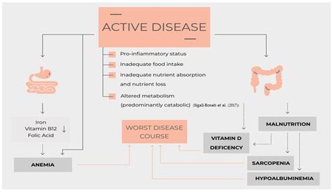 Nutrition Nutritional Status Micronutrients Deficiency And Disease Course Of Inflammatory Bowel Disease