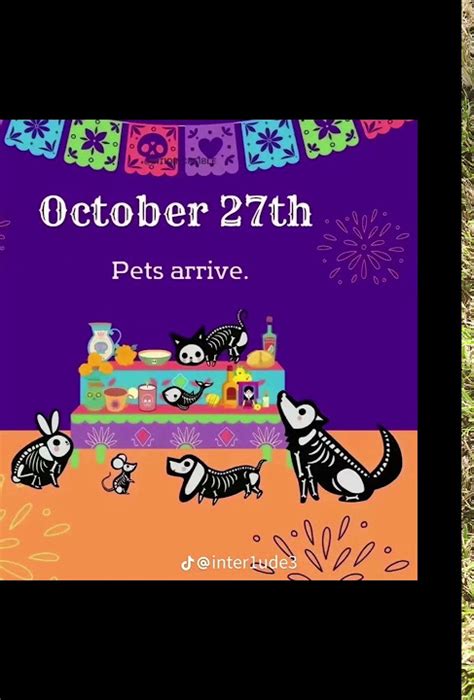 October 27Th Pets Arrive Missyou Youtube October 27Th Pets Arrive Missyou Youtube