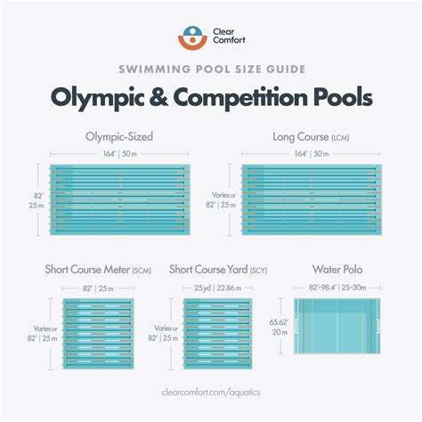 Olympic Size Swimming Pool Pdf Swimming Leisure Activities