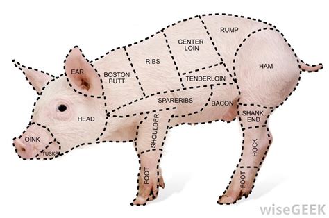 Parts Of Pork