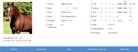 Pashito The Che Horse Profile Bloodhorse