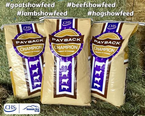 Payback Feed Chs Mountain West