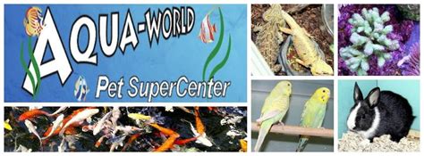 Pet Store Aqua World Super Pet Center Pittsburgh Pa
