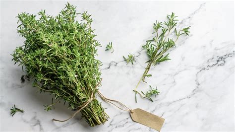 Picture Of Fresh Thyme