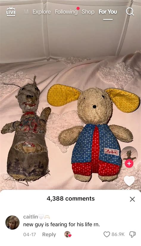 Pin By Angus Beef Patty On Amp Quot That Gave Me A Chuckle Amp Quot In 2025 Really