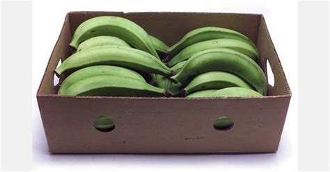 Plantains Becoming More Available In Mainstream Us Supermarkets
