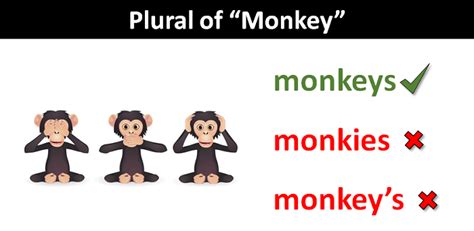Plural of Monkey: Quick Linguistic Guide