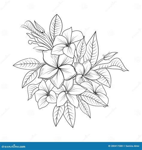 Polynesian Frangipani Tattoo Designs Araliya Flower Drawing Hand Polynesian Frangipani Tattoo Designs Araliya Flower Drawing Hand