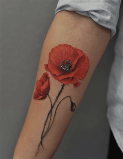 Poppy Flower Tattoo Designs