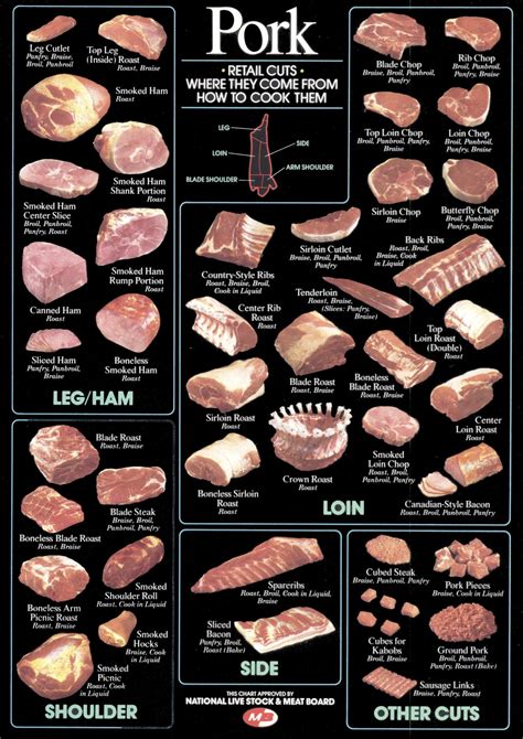 Pork Cuts Explained Artofit