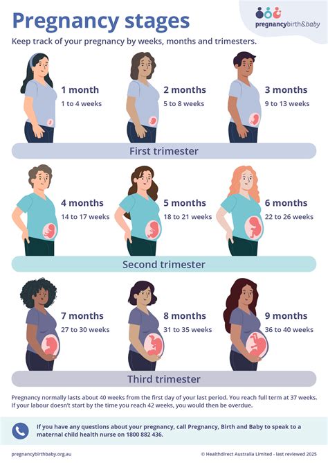 Pregnancy Month By Month Pregnancy Month By Month
