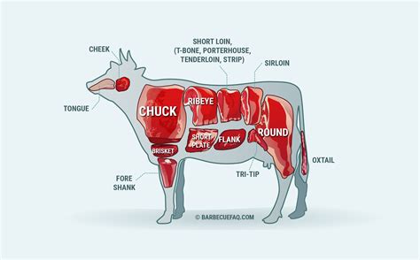Primal Cuts Of Beef: How The Cow Is Divided Up, 53% Off