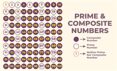 Prime Composite and Neither: Decoding Numbers' Mysterious Identities