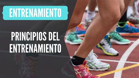 Principios Del Entrenamiento De Personal