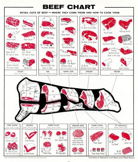 Printable Beef Cuts Chart Poster Calendar Productivity Hacks
