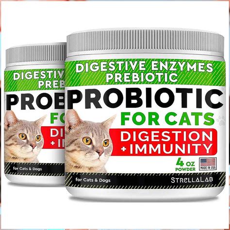 Probiotics For Constipation Professionals