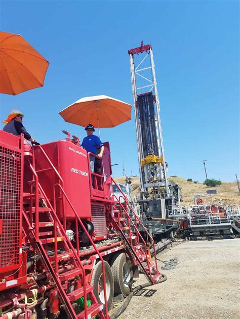 Project Amp Client Experience Fernandez Project Services