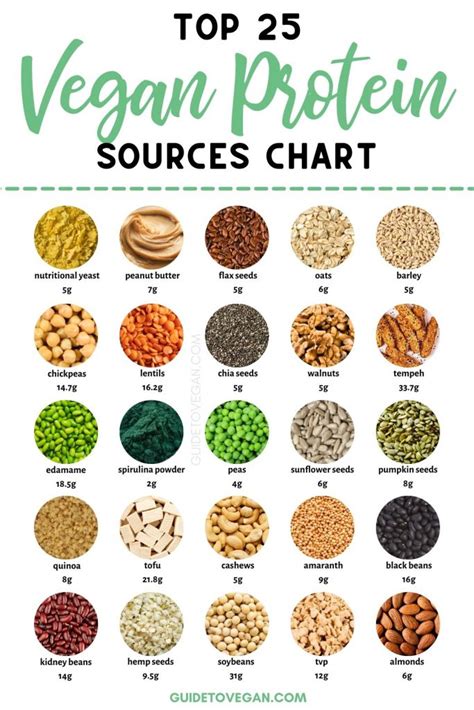 Protein In Vegetables Chart Vegetarian Protein Sources Protein In Vegetables Chart Vegetarian Protein Sources