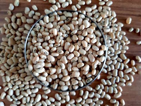 Protein Rich Black Eyed Peas Stock Image Image Of Produce Crop