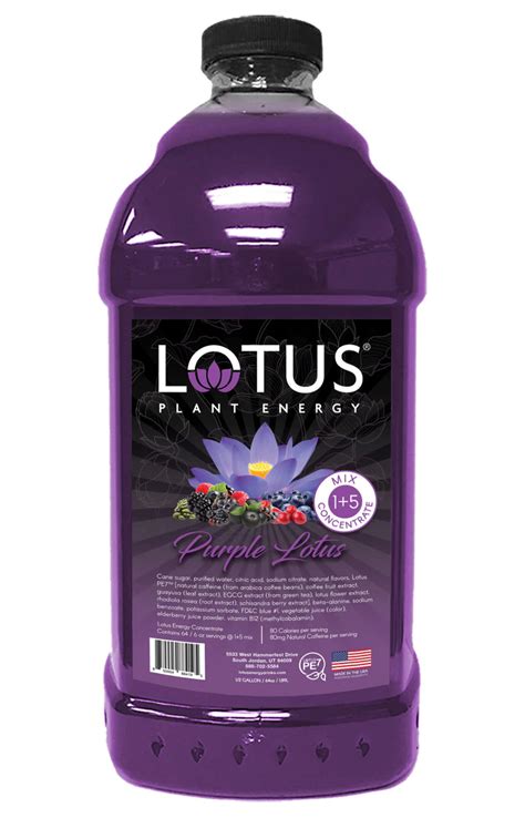 Purple Lotus Energy Concentrate Reading Coffee Company