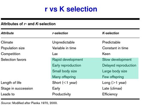 R vs K Selection: Nature's Survival Strategy Showdown