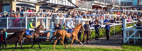 Racecard Pontefract Races