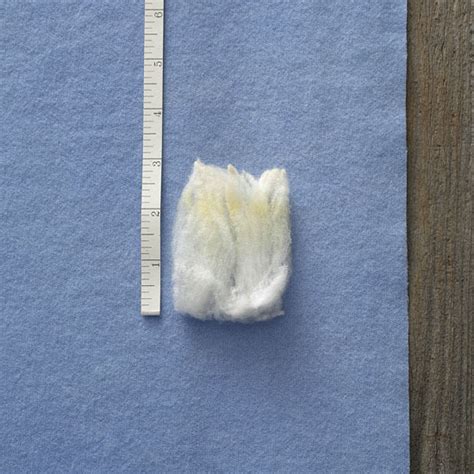 Rambouillet Wool Facts Mother Earth News