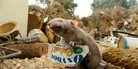 Curious About a Rat in Charlotte's Web? Discover the Surprising Twist!