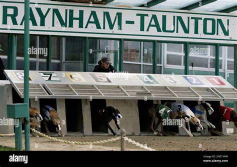 Raynham Taunton Greyhound Park