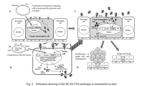 Rcas Tva Eric Holland: A Definitive Guide To Mastering Its Features