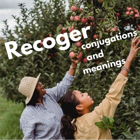 Learn the Perfect English Translation for Recoger