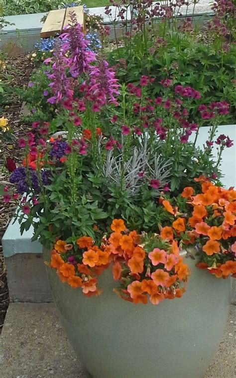 Residential Pot 2014 Great Falls Montana Garden Center