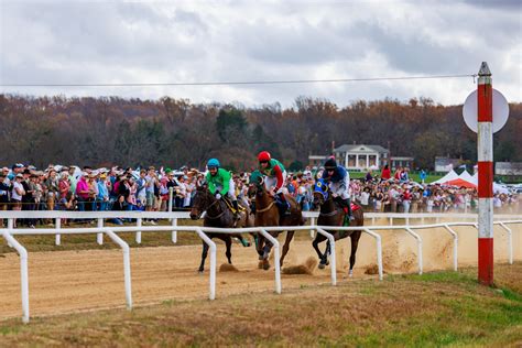 Results Explore Race Results Join The Excitement Montpelier Hunt Races Results Explore Race Results Join The Excitement Montpelier Hunt Races