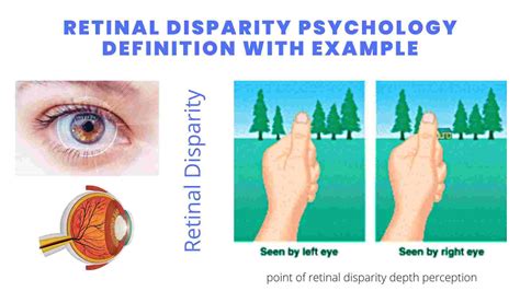 Unveiling Retinal Disparity Psychology: A Deep Dive Definition