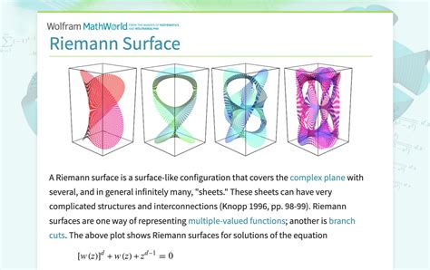 Riemann Surface Of Finite Type: A Modern Tale Of Complex Shapes