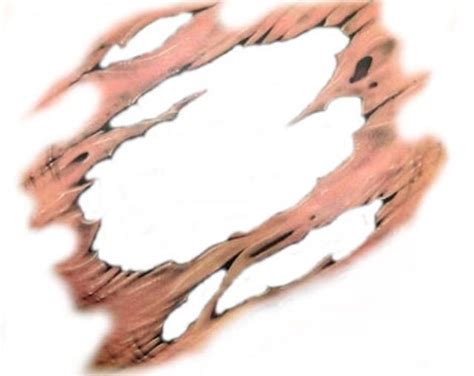 Ripped Skin Tattoo Template Amazing Ripped Skin Tattoo Designs And Ideas