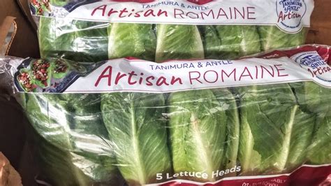 Romaine Lettuce Whole Head 24 Ct Costco