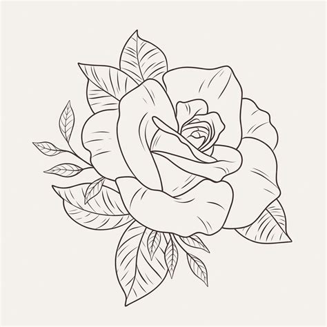 Rose Outline Design At Sascopyrightblog Blog