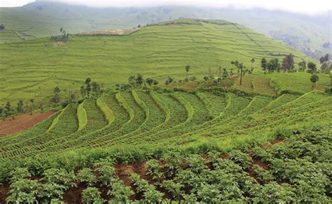 Rotary June 2025 The Land Of A Thousand Hills Rotary June 2025 The Land Of A Thousand Hills