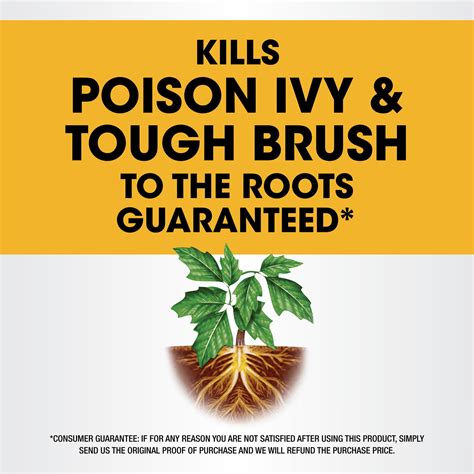 Roundup 32 Fl Oz Poison Ivy Plus Tough Brush Killer Concentrate