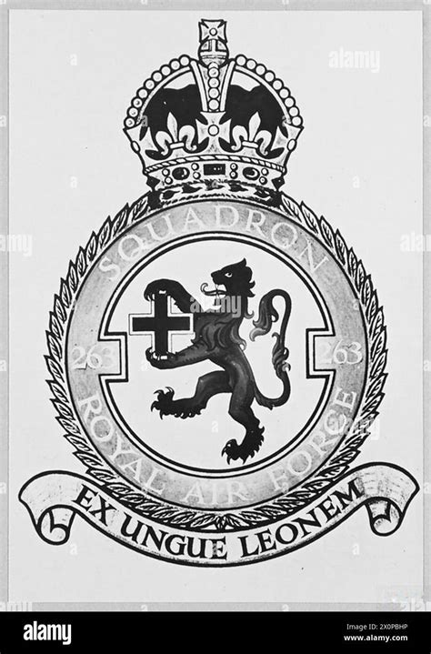 Royal Air Force Squadron Wappen Dieses Bild Ist Eines Einer Serie