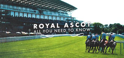 Royal Ascot Festival 2025 Best Betting Offers And New Sign Up Deals From Our Partners Royal Ascot Festival 2025 Best Betting Offers And New Sign Up Deals From Our Partners