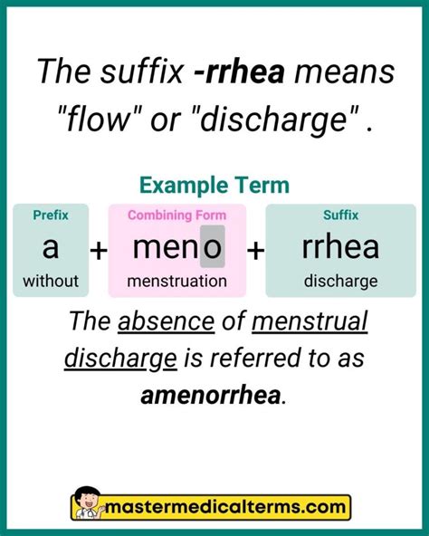 Diarrhea Medical Term Explained Simply for Easy Understanding