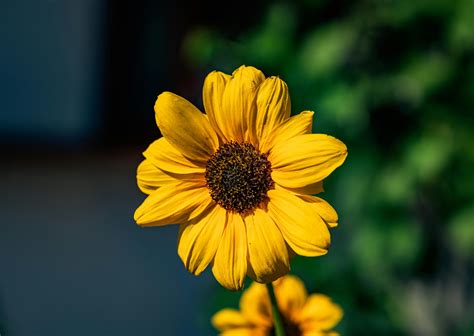 S4cf8013787cd4d218a8e7f01d63d6a60q Jpg