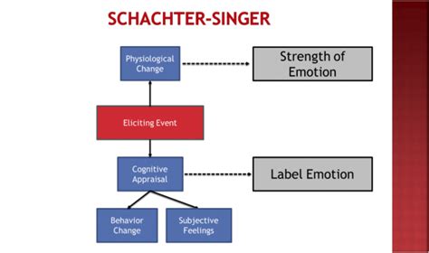 Schachter Singer Theory: Emotional Insight Uncovered