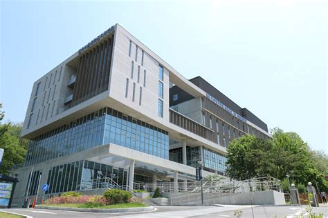 School Of Dentistry Seoul National University