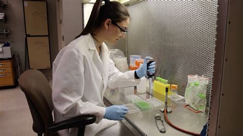 Scientists Struggle To Pay Bills After Nsf Suspends Salary Payments Stat Scientists Struggle To Pay Bills After Nsf Suspends Salary Payments Stat