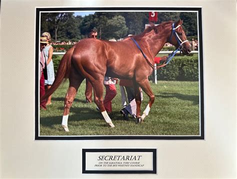 Secretariat In The Infield At Saratoga Racecourse